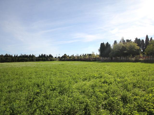 Terreno, Figueres