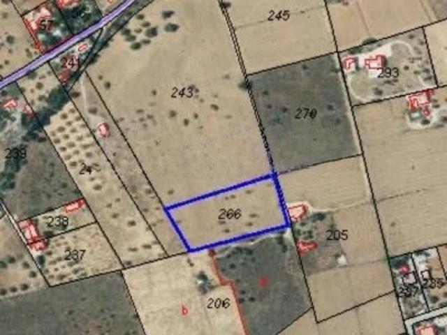 Terreno Finca rústica en venta en calle d´es codolar