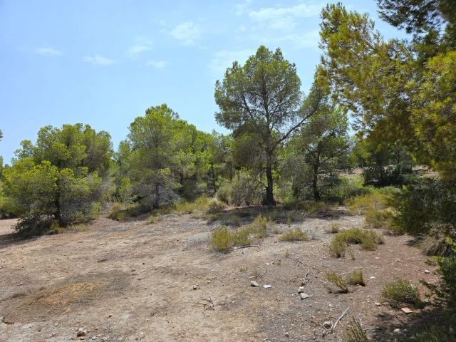 Terreno, Finestrat
