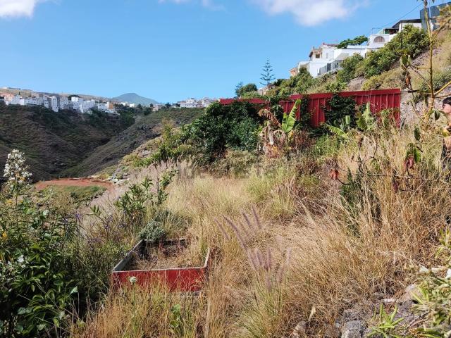 Terreno, Firgas
