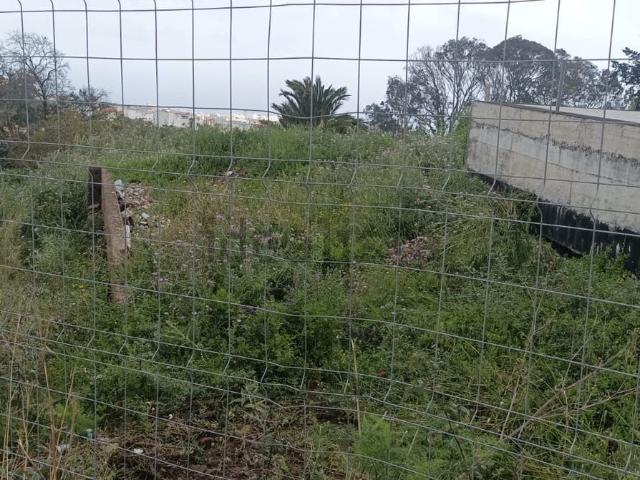 Terreno, Firgas
