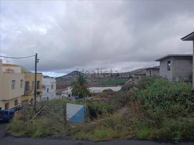 Terreno, Firgas