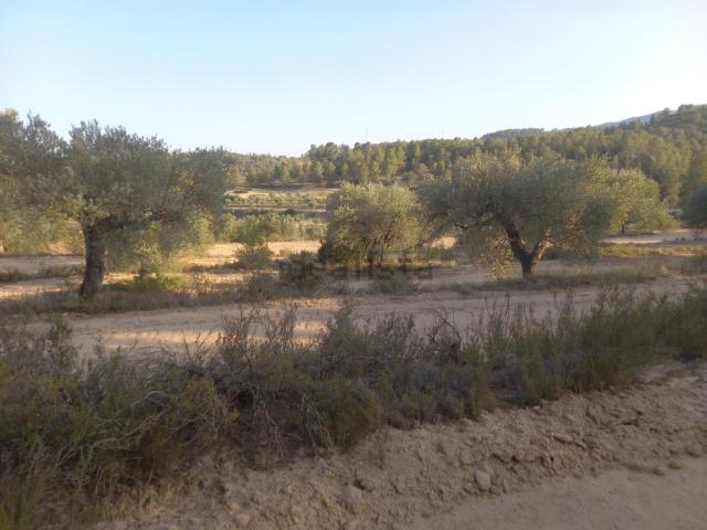 Terreno, Flix