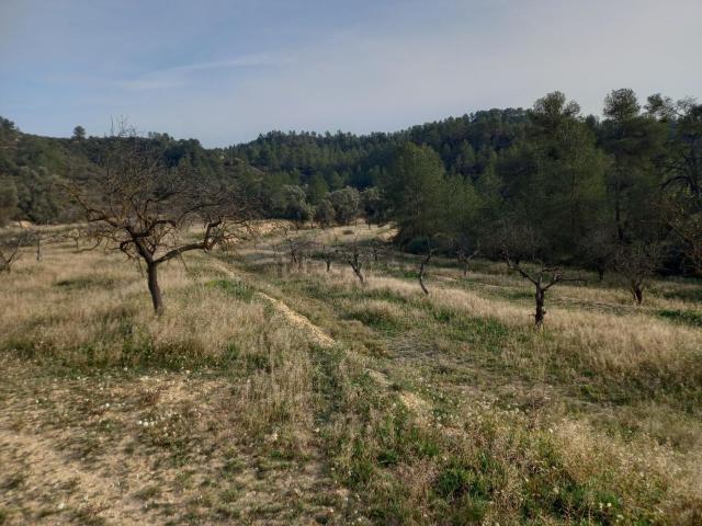 Terreno, Flix