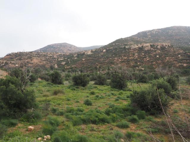 Terreno, Flix