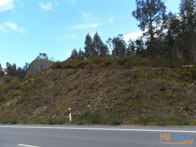 Terreno florestal | 26023864835