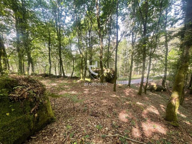 Terreno florestal com 13 160m2 Formariz Paredes de Coura