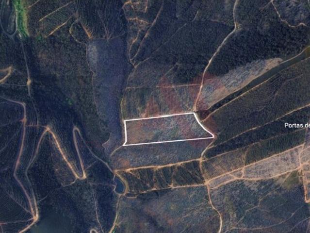 Terreno Florestal com 20.000m2 em Silvares, Lousada