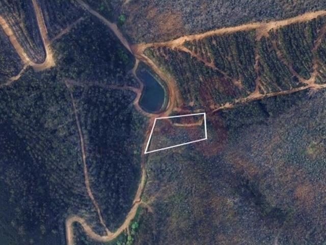 Terreno Florestal com 2300m2 em Silvares, Lousada