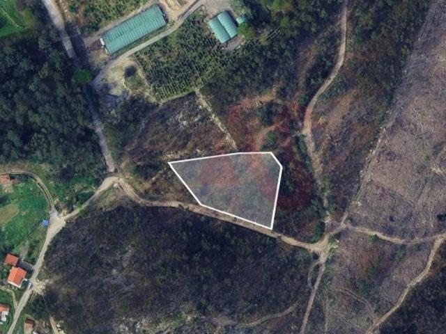 Terreno Florestal com 3300m2 em Silvares, Lousada
