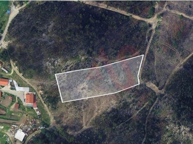 Terreno Florestal com 4800m2 em Silvares, Lousada