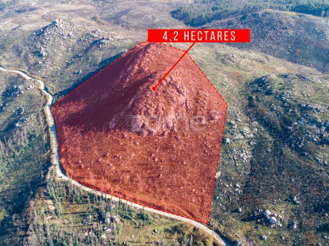 Terreno florestal com 4.2 hectares em Marco de Canaveses Porto