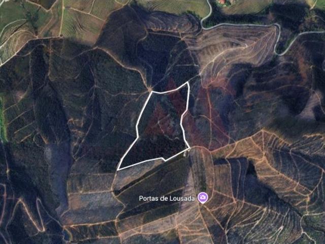 Terreno Florestal com 80.000m2 em Silvares, Lousada