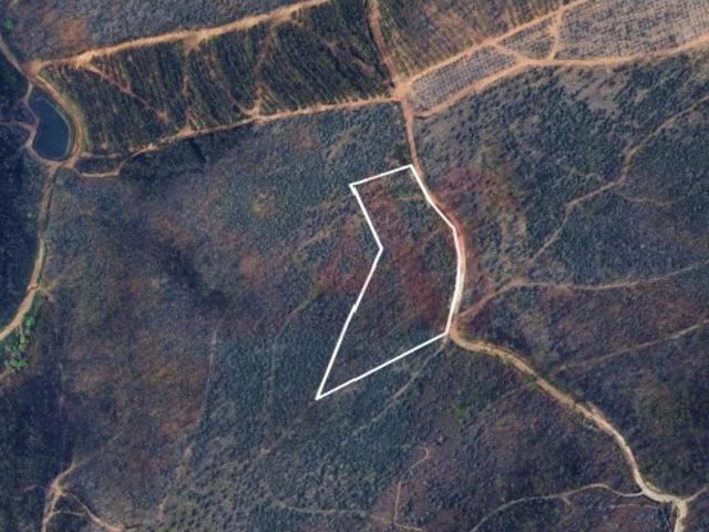 Terreno Florestal com 9400m2 em Silvares, Lousada