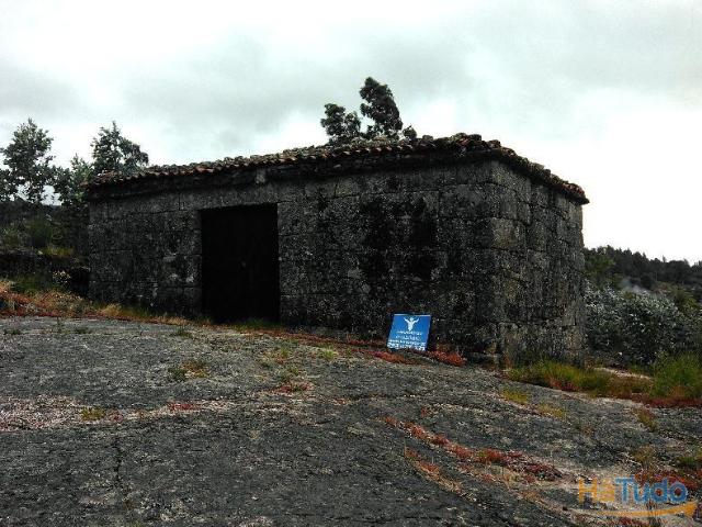 Terreno Florestal, com espigueiro, eira, todo vedado, com área aproximadamente de 3500m2, com vistas agradáveis, local sossegado. | 26063709209