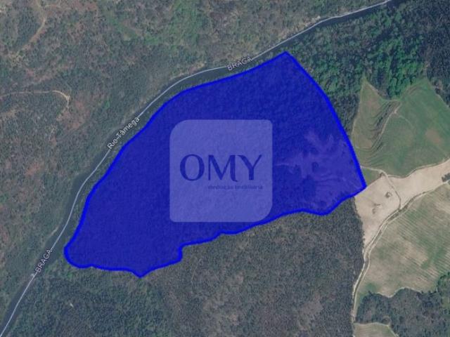 Terreno Florestal de 16 Hectares em Atei, Mondim de Basto