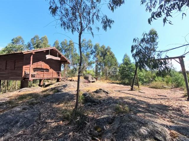 Terreno florestal de 18600 m2 com vistas panorâmicas