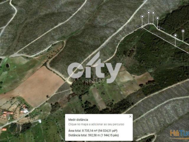 Terreno Florestal em Enxames | 26083480492