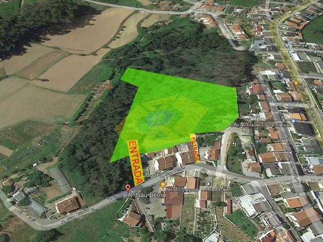 Terreno Florestal em Felgueiras com 6000m2