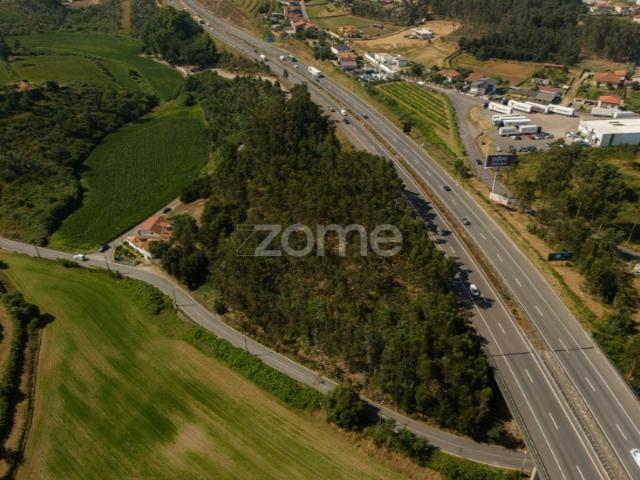 Terreno Florestal em Santo Tirso