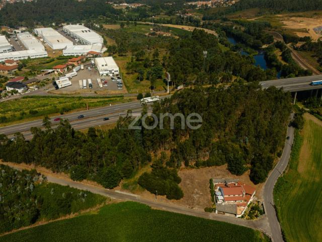 Terreno Florestal em Santo Tirso