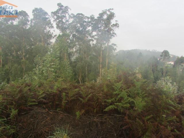 Terreno florestal, Pedroso com 3.682 m2 fáceis acessos