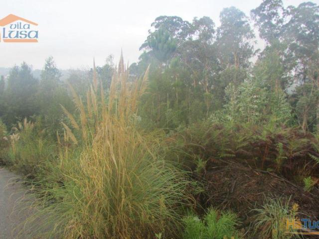 Terreno florestal, Pedroso com 3.682 m2 fáceis acessos | 26063439491