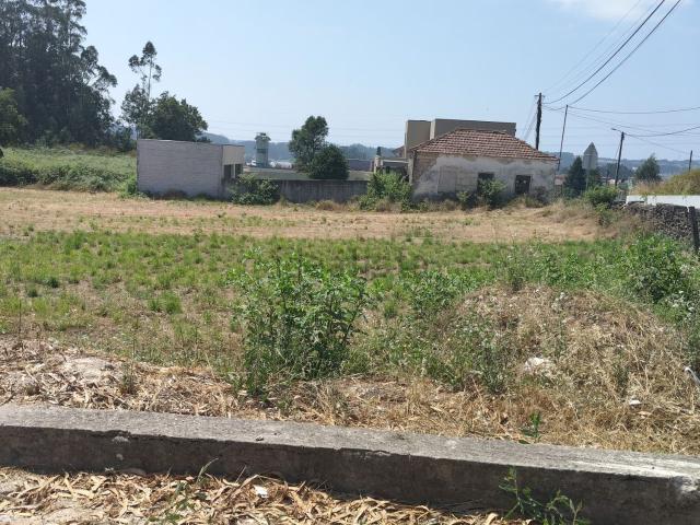 Terreno, Folgosa