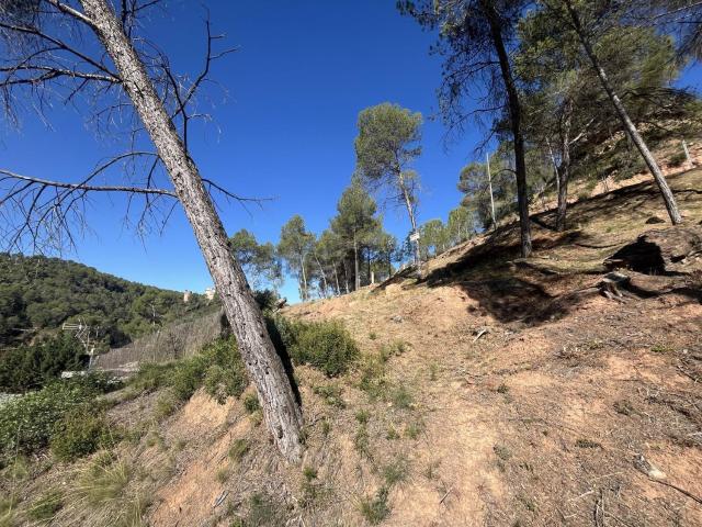 Terreno, Fonollosa