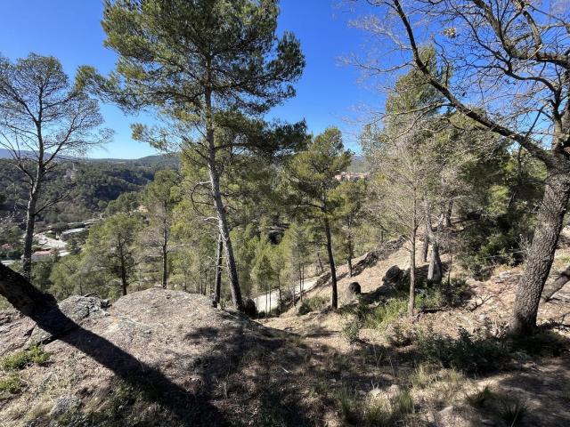 Terreno, Fonollosa