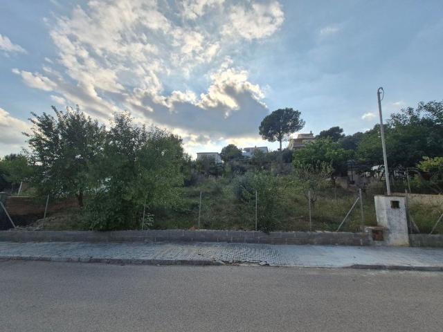 Terreno, Font Rubí