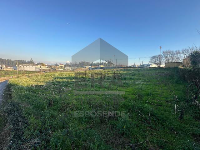 Terreno, Fonte Boa e Rio Tinto