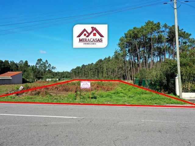 Terreno, Fonte de Angeão