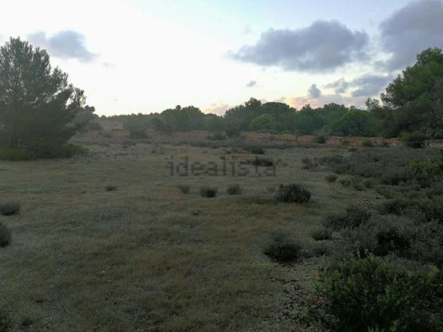 Terreno, Formentera