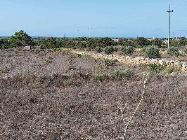 Terreno, Formentera