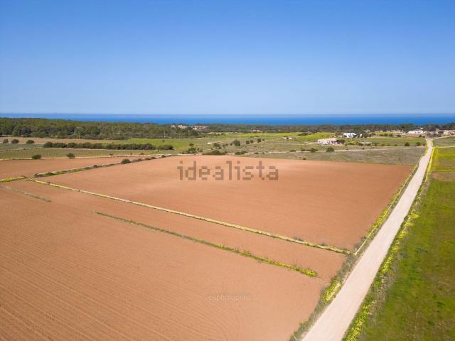 Terreno, Formentera