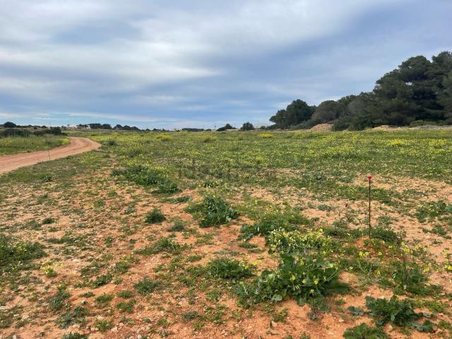 Terreno, Formentera