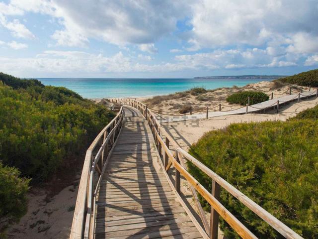 Terreno, Formentera