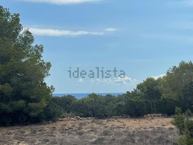 Terreno, Formentera