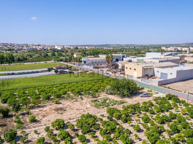 Terreno, Formentera del Segura