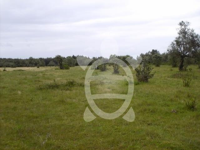Terreno Formoselha