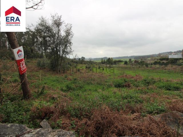 Terreno, Fornelo