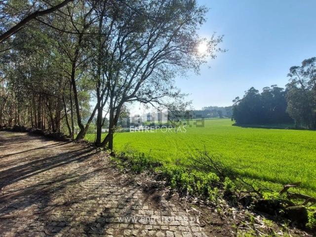 Terreno, Vairão