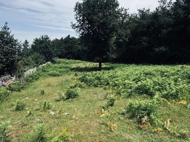 Terreno, Fornelos