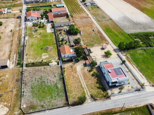 Terreno, Foros de Salvaterra