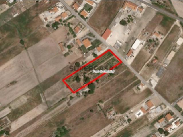 Terreno Foros de Salvaterra 5.859 m²