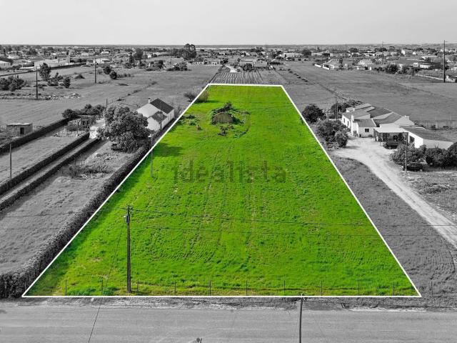Terreno, Foros de Salvaterra