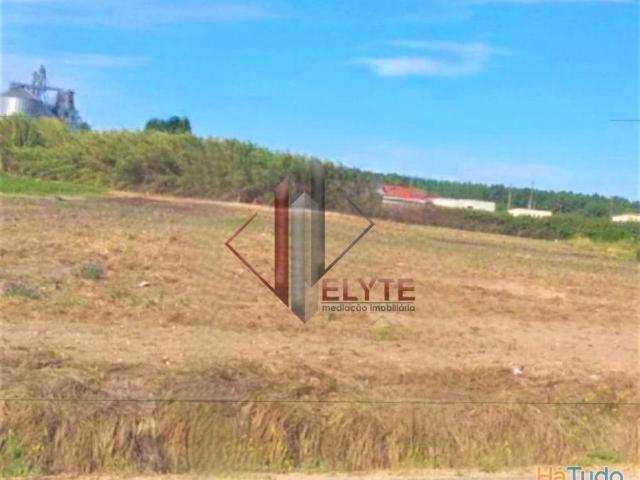 terreno Foros Salvaterra | 26083514401