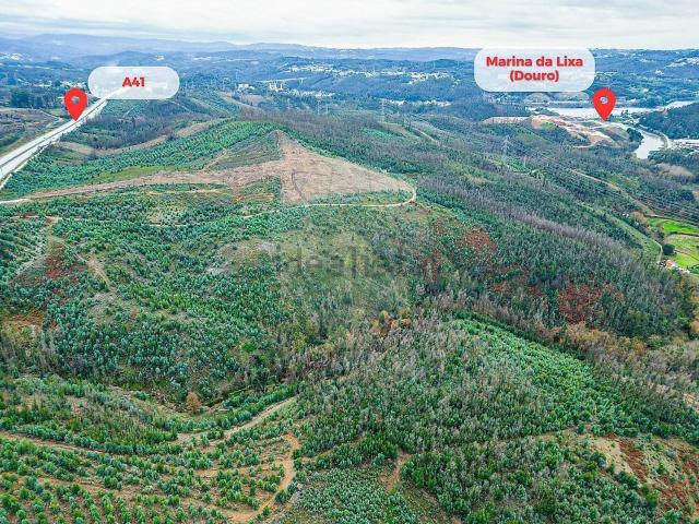 Terreno, Foz do Sousa e Covelo