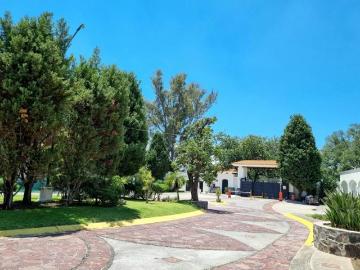 Terreno Fraccionamiento Campo Nogal a un paso de Punto Sur